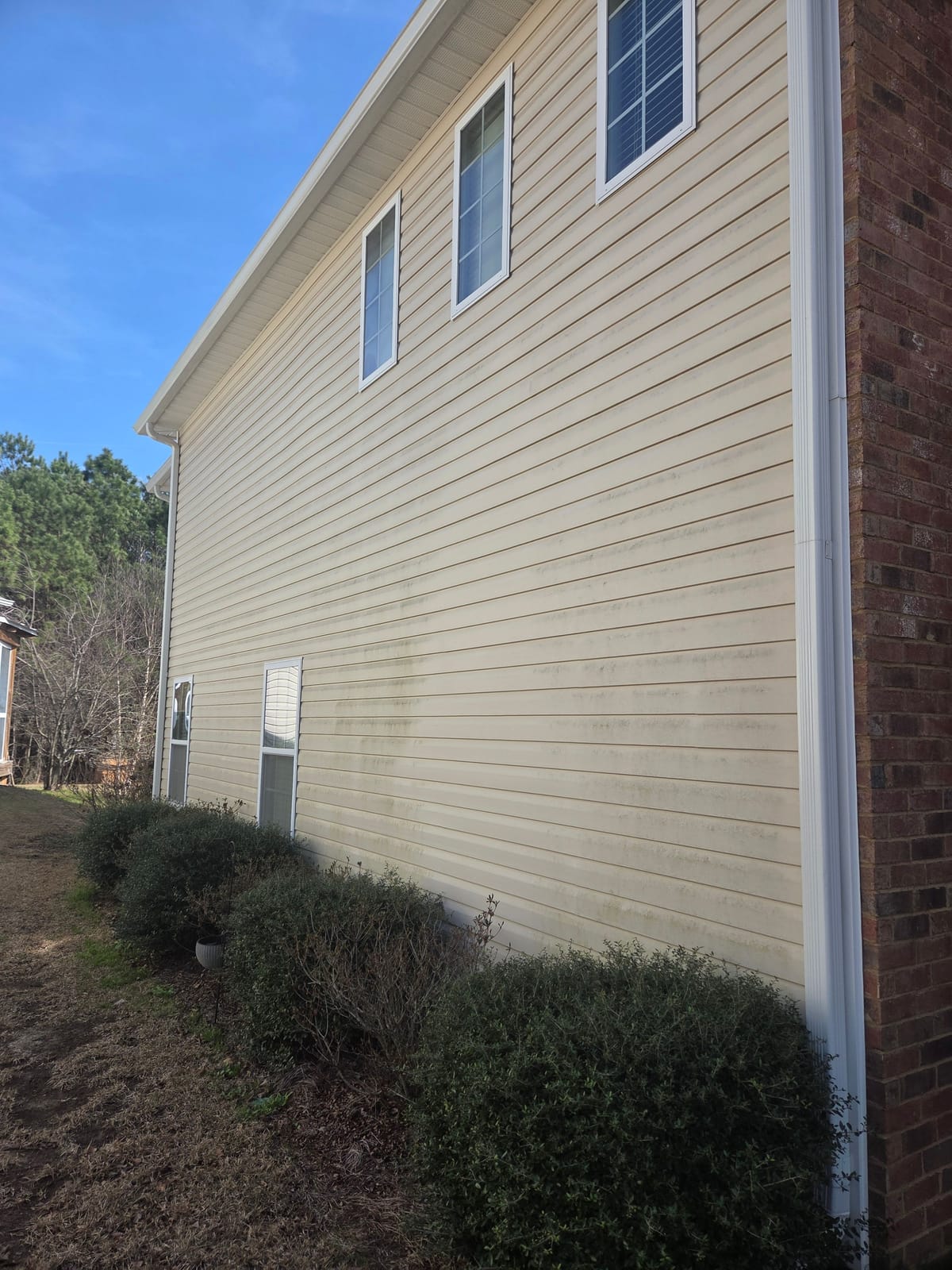 Before soft washing: grey-green algae streaking a two-story vinyl-sided home in Lexington, SC